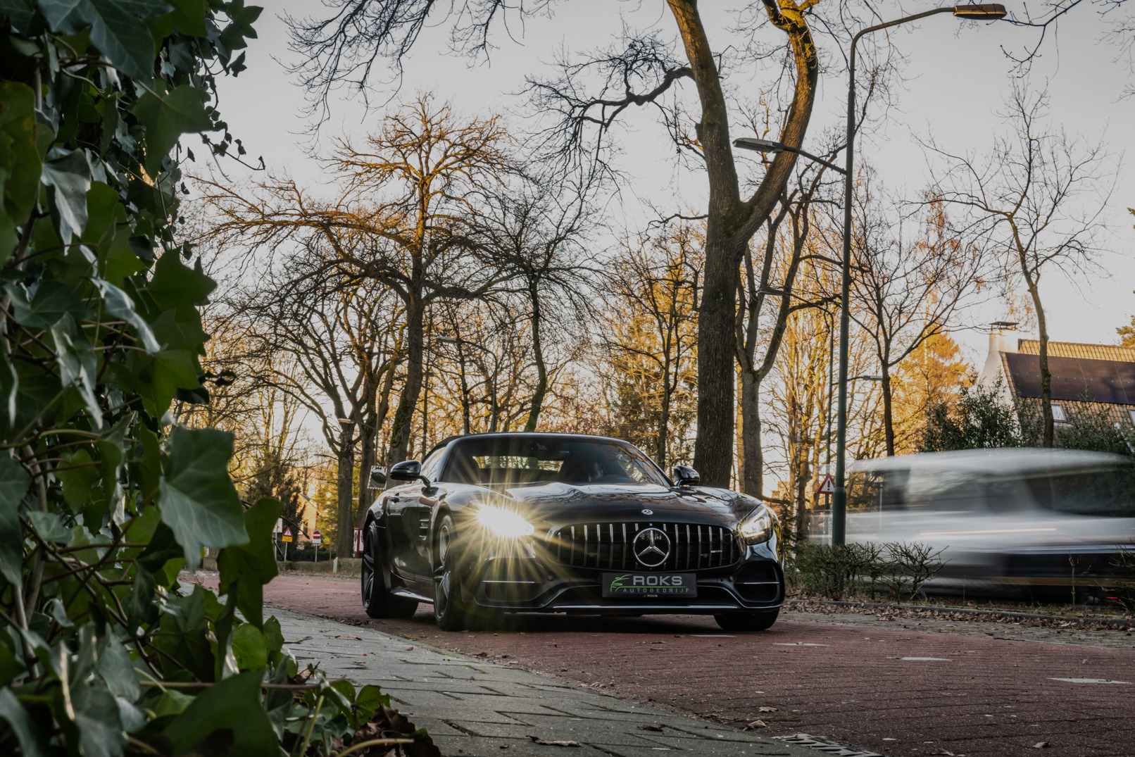 Header Image 3
